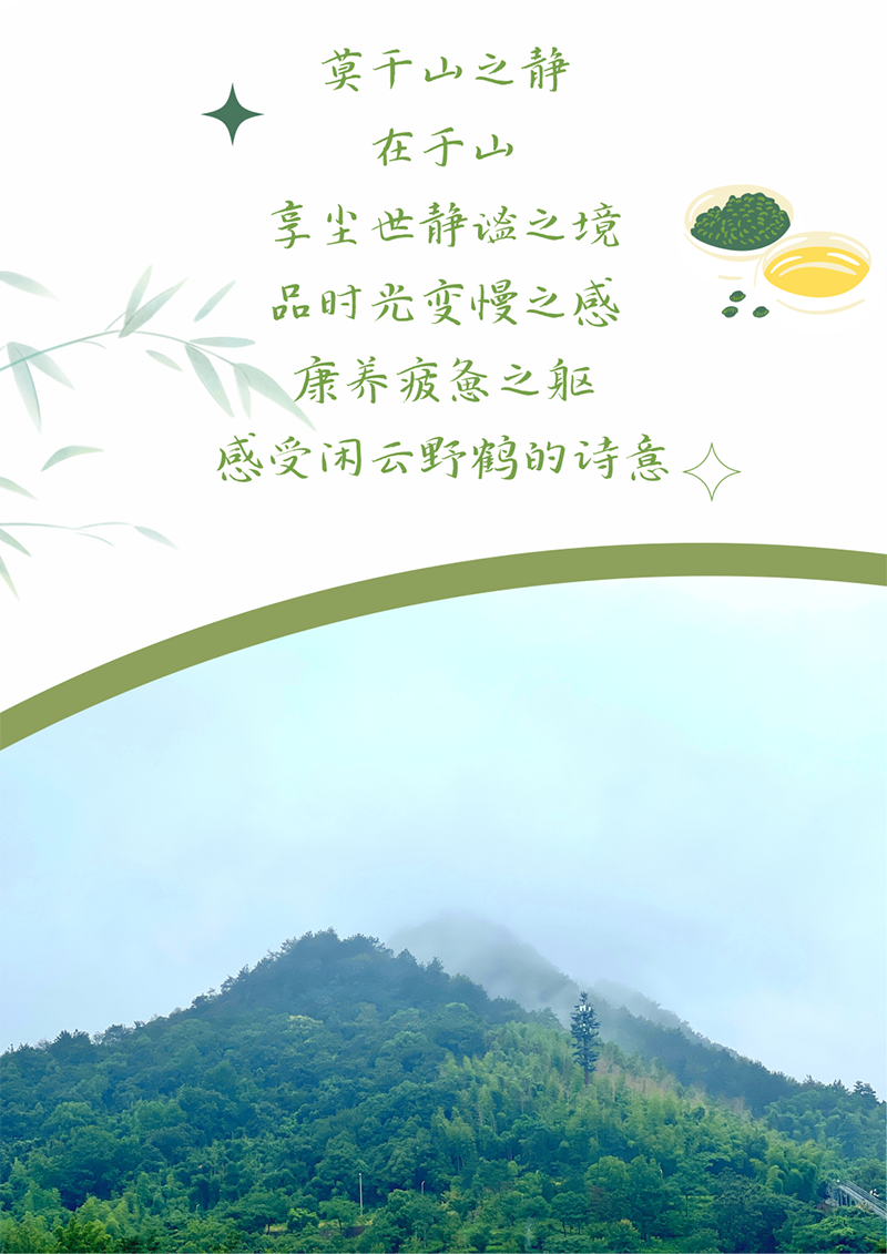 心心念廿 相伴菠菜担保网 | 与德清相约 贺廿载诞辰