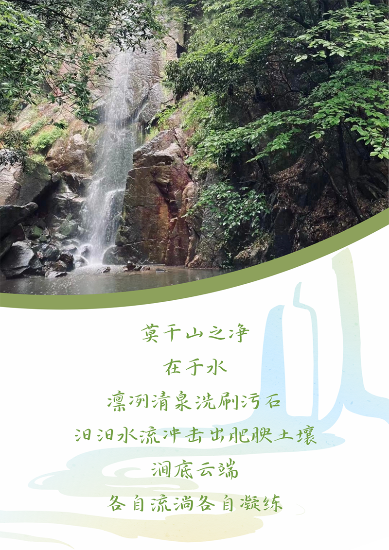 心心念廿 相伴菠菜担保网 | 与德清相约 贺廿载诞辰